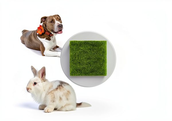 Artificial Grass TURSTIN 6-Pack 12x12 Inch Tiles with Drainage-5